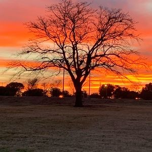 Meet your Posher, Sean